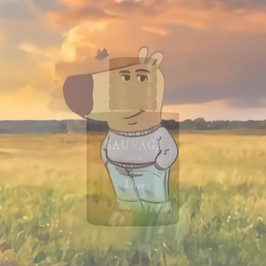 sᴀᴜᴠᴀɢᴇ ᴇʟɪxɪʀ
